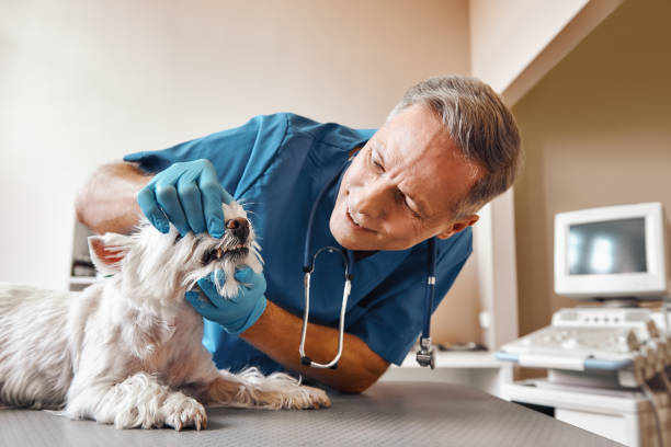 Best Same-Day Emergency Dentist in Anadarko, OK